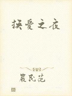 换爱之夜