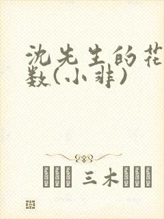 沈先生的花式调数(小非)