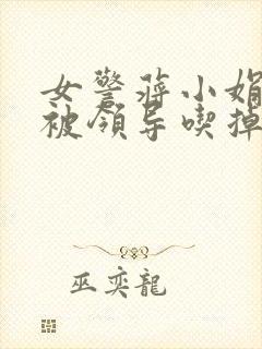 女警蒋小娟的奶被领导吃掉了封面