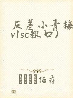 反差小青梅(1v1sc粗口)封面