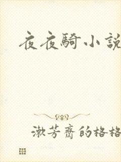 夜夜骑小说