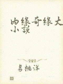 内缘奇缘大团圆小说封面