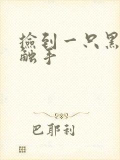 捡到一只黑心小触手