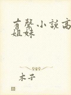 有声小说高树三姐妹封面