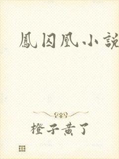 凤囚凰小说