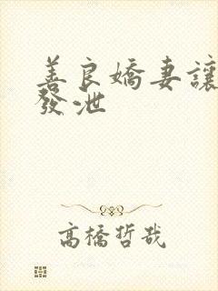 善良娇妻让老丁发泄封面