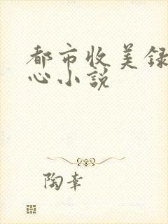 都市收美录宁素心小说