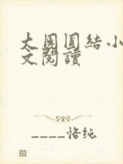 大团圆结小茹全文阅读