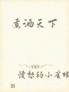 煮酒天下
