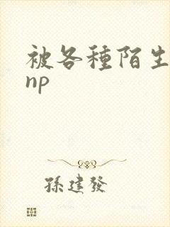 被各种陌生人 np