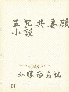 五兄共妻顾心儿小说