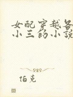 女配穿越各个做小三的小说封面