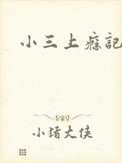 小三上瘾记