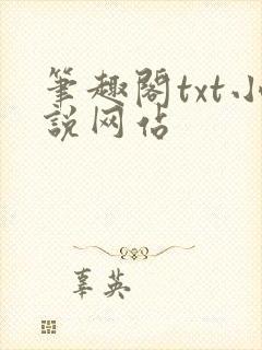 笔趣阁txt小说网站