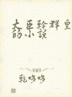 大臣干群皇太后的小说