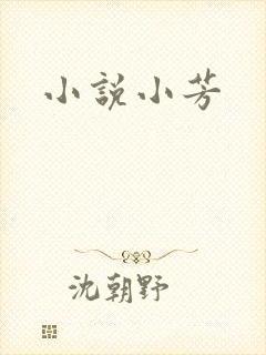小说小芳