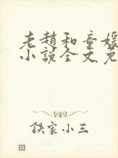 老赵和童媛媛的小说全文免费阅读封面