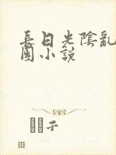 长日光阴乱作一团小说