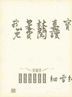 我是林喜宝小说免费阅读封面