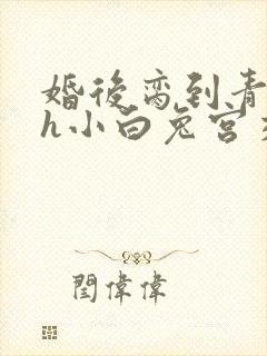 婚后脔到青梅哭h小白兔宫交h封面