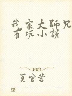 我家大师兄脑子有坑小说封面