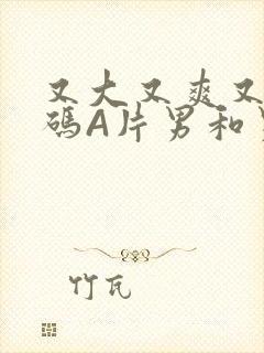 又大又爽又黄无码A片男和男