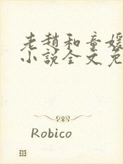 老赵和童媛媛的小说全文免费阅读封面