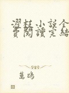 濯枝小说全文免费阅读完结封面