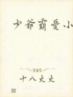 少爷霸爱小丫头