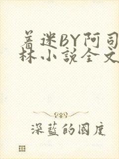 着迷BY阿司匹林小说全文免费阅读