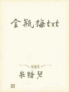 金瓶梅txt封面
