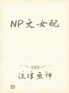 NP文女配封面