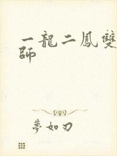 一龙二凤双飞老师