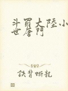 斗罗大陆小说绝世唐门
