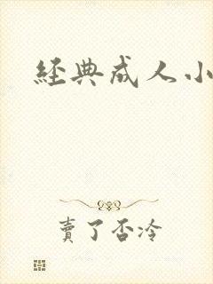 经典成人小说封面