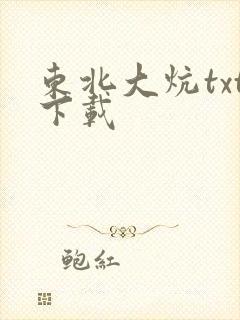 东北大炕txt下载封面