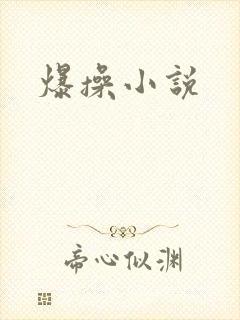 爆操小说封面