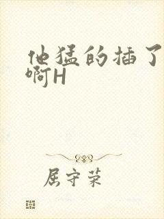 他猛的插了进去啊H