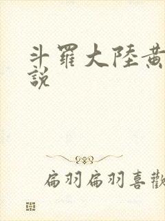 斗罗大陆黄化小说