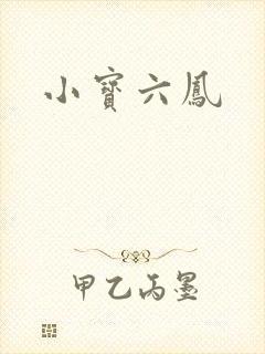 小宝六凤