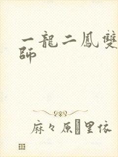 一龙二凤双飞老师封面