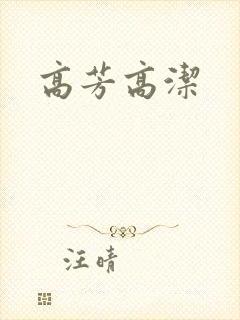 高芳高洁封面