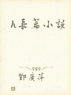 h长篇小说封面