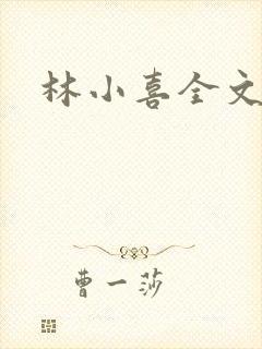 林小喜全文阅读封面