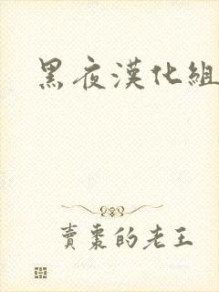 黑夜汉化组封面