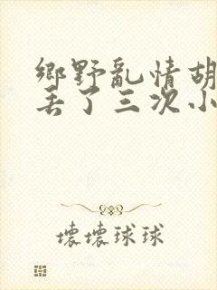 乡野乱情胡秀英丢了三次小说封面