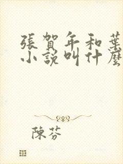 张贺年和叶繁姿小说叫什么名字