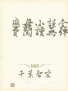 恋母小说全文免费阅读无弹窗笔趣阁封面