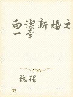 白洁新婚之夜第一章