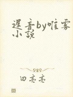 迟音by唯雾的小说